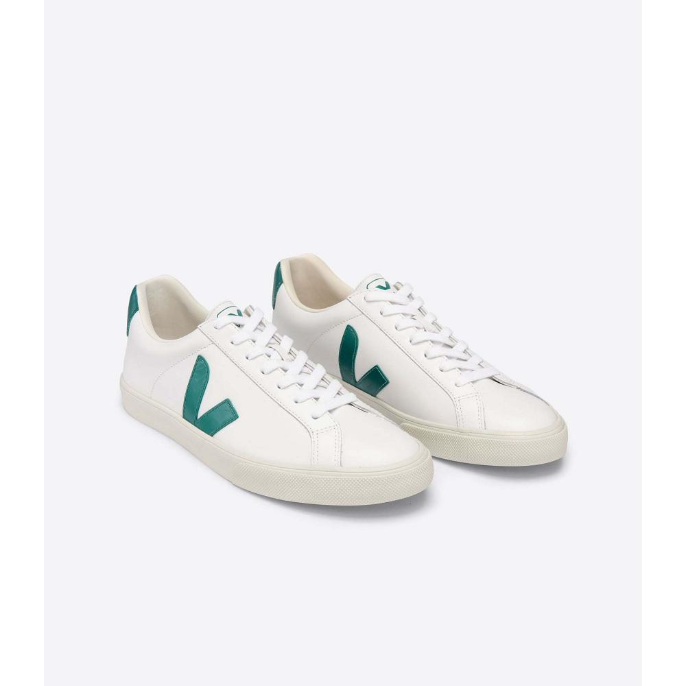 Αθλητικά Παπούτσια ανδρικα Veja ESPLAR LEATHER White/Green | GR 305ZUT